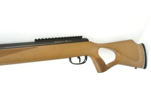Пневматическая винтовка Crosman Trail NP 8-BT1K77WNP (дерево, прицел 3-9x40) 4,5 мм